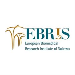 Fondazione Ebris