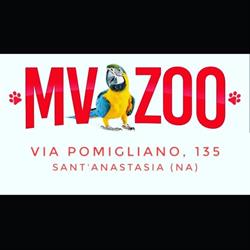 Mv Zoo