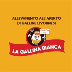 Uova fresche da allevamento all'aperto-La Gallina bianca