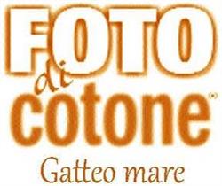 T-Shirt Gallery Foto di Cotone