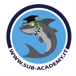 Sub-Academy
