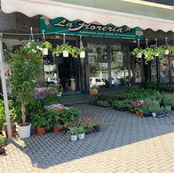 La Fioreria di Ambrosio A.