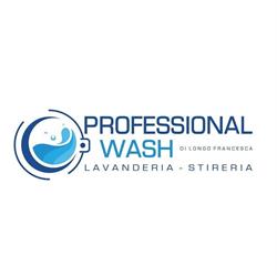 Lavanderia Professional Wash