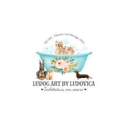 Ludog Art By Ludovica