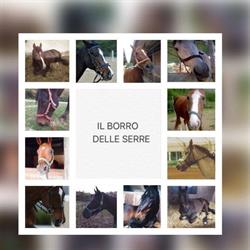 Il Borro Delle Serre A.S.D.