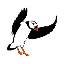 Puffin Bay