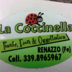 Fioreria La Coccinella