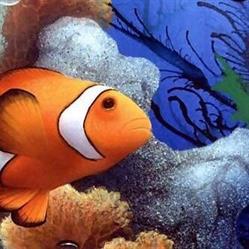 Hobby Acquario