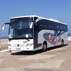 Sibilla bus