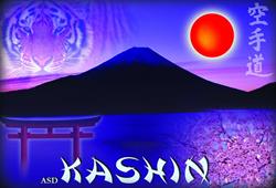Kashin Karate Pullia