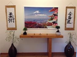 IL Dojo Sport & Discipline