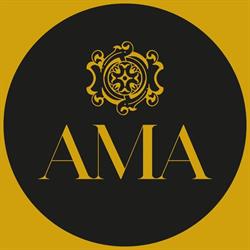 AMA Salon Experience