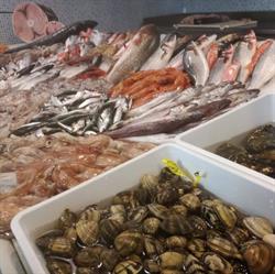 Scirocco Fish-Food
