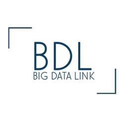 Big Data Link Srl