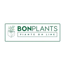 Azienda Agricola Bonaccorso Ellison - Bonplants