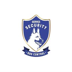 Service Security Srls