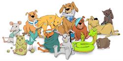 Ambulatorio Veterinario Cavallotti