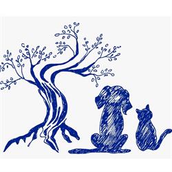 Clinica Veterinaria della Selva