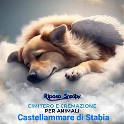 Il Riposo di Snoopy Cimitero e Cremazione Castellammare