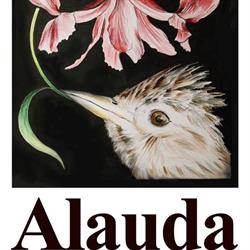 Alauda associazione