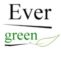 Assistenza Evergreen srls