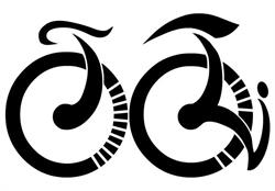 Cicli