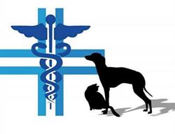 Ambulatorio Veterinario Dott. Mecca