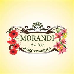 Vivaio Morandi