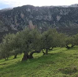 Società agricola Sorelle Lo Re