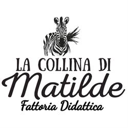 La collina di Matilde