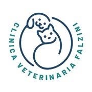Clinica Veterinaria Falzini