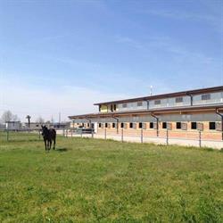 Societa' Agricola Donja Di Comini Enrica E C. S.a.s.