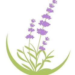 PROFUMO DI LAVANDA