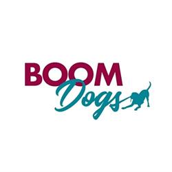 Associazione sportiva cinofila "Boom Dogs" - agility school
