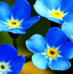 Dott.ssa Casti Giannina psicoterapeuta. Centro psicoterapia e prevenzione San Francesco