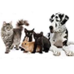 Riscaldanatura pet shop