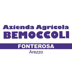 Macelleria Bemoccoli