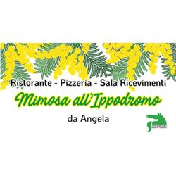 La Mimosa all'Ippodromo
