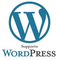 Assistenza in Chat - Supporto WordPress Italia