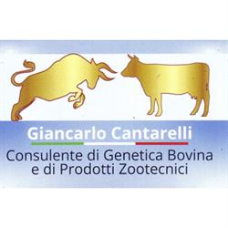 Cantarelli Giancarlo