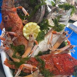 Pescheria Roby Sea Fish