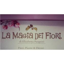 La Magia dei Fiori