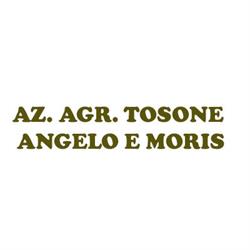 Az. Agr. Tosone Angelo e Moris