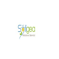 Soligea Srls