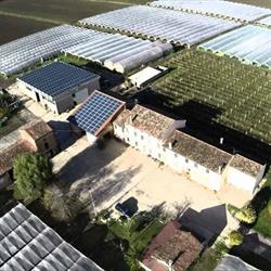 Azienda Agricola Marcon Lino