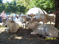 La Presa Azienda Agricola