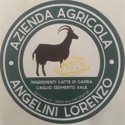 Azienda Agricola Angelini Lorenzo