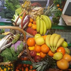 Azienda Agricola Bamonte Mario