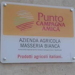 Azienda Agricola Masseria Bianca