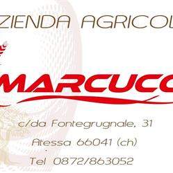 Azienda Agricola Marcucci